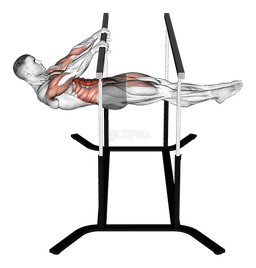 Front Lever