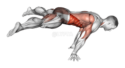 Straddle planche