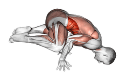 Frog planche