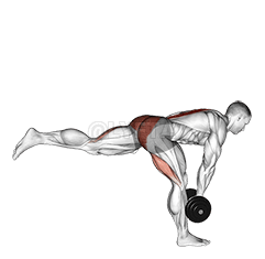 Dumbbell Single Stiff Leg Deadlift demonstration