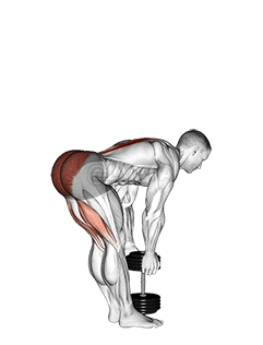 Dumbbell Stiff Leg Deadlift demonstration