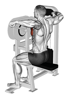 Lever Crossovers demonstration