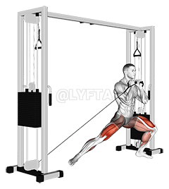 Cable Lateral Lunge demonstration