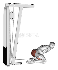 Cable Kneeling Pull Through demonstration