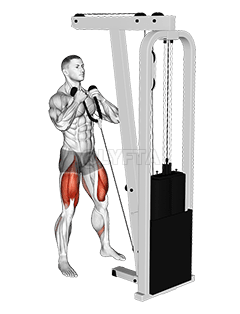 Thumbnail for the video of exercise: Agachamento frontal com cabo