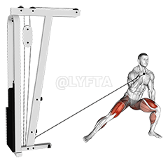 Thumbnail for the video of exercise: 繩索橫向弓箭步