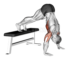 Pike Push up