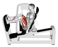 Lever Seated Leg Press demonstration