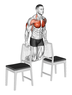 Dips between Chairs demonstration