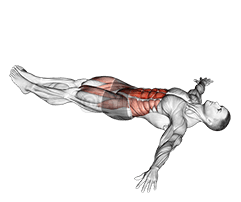 Lying Leg Hip Raise on Floor