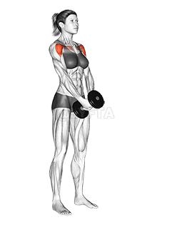 Dumbbell Front Raise demonstration