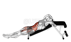 Decline Leg Hip Raise