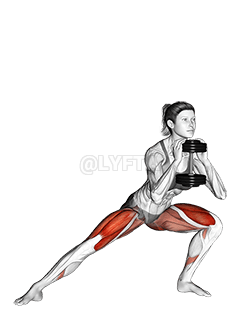 Dumbbell Side Lunge demonstration