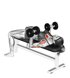 Dumbbell Reverse Bench Press demonstration