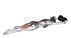 Dumbbell Superman demonstration