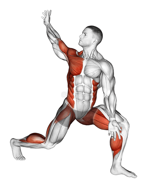 Thumbnail for the video of exercise: Warming-up in Lunge