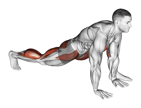 Thumbnail for the video of exercise: Warming-up in Lunge