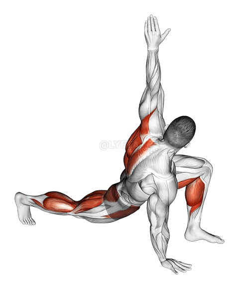 Thumbnail for the video of exercise: Warming-up in Lunge