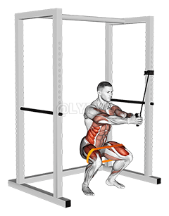 Band horizontal Pallof Press with Resistance Band Squat demonstration