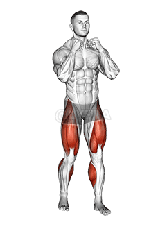 Thumbnail for the video of exercise: Boxer Shuffle