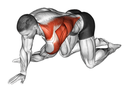 Kneeling T-Spine Mobility Stretching