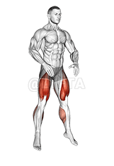 Bodyweight Drop Jump Squat demonstration