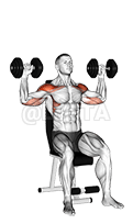 Dumbbell Seated Alternate Shoulder demonstration