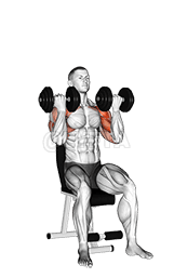 Dumbbell Seated Biceps Curl to Shoulder Press demonstration