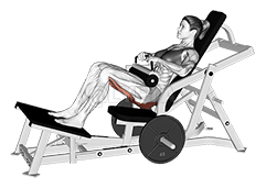 Lever Hip Thrust demonstration