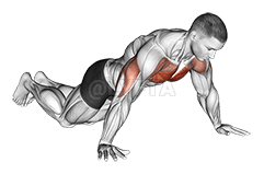 Kneeling Wide Hand Push-Up