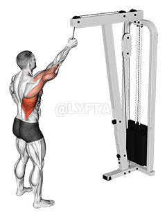 绳索单臂下拉 demonstration