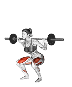 Barbell Squat demonstration