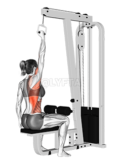 Cable One Arm Lat Pulldown demonstration