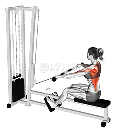 Cable Seated Wide grip Row demonstration