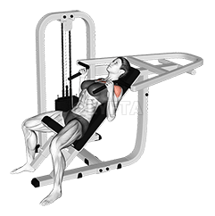 Lever Incline Hammer Chest Press demonstration