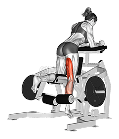 Lever Kneeling Leg Curl demonstration