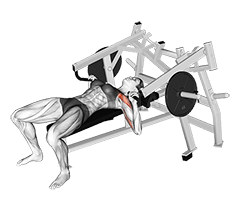 Lever Lying Chest Press demonstration