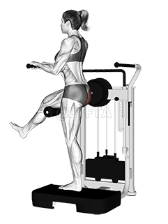 Lever Standing Rear Kick demonstration