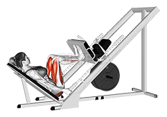 Sled 45 degrees Narrow Stance Leg Press demonstration
