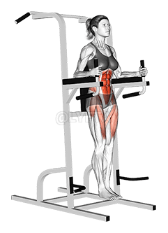 Vertical Leg Raise demonstration