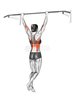 Wide Grip Pull Up demonstration