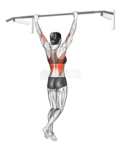 Wide Grip Rear Pull Up demonstration