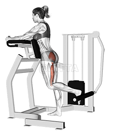 Lever Standing Hip Extension demonstration