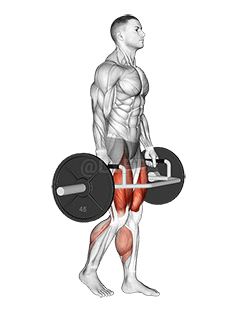 Trap Bar Split Stance RDL demonstration