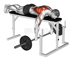 Barbell Lying Row on Rack demonstration