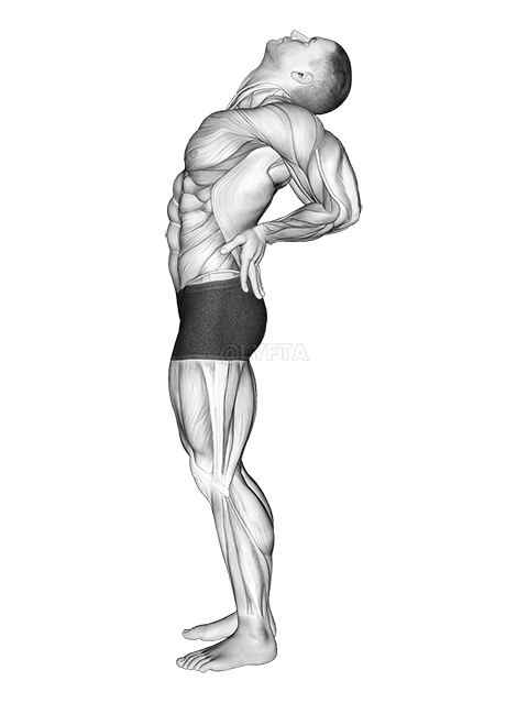 Thumbnail for the video of exercise: Static Position Standing