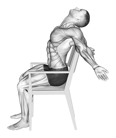 Thumbnail for the video of exercise: Static Position Seated Back