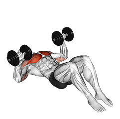 Dumbbell Lying on Floor Chest Press demonstration