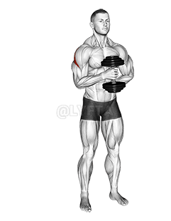 Dumbbell External Rotation