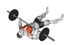 Barbell Floor Chest Press demonstration